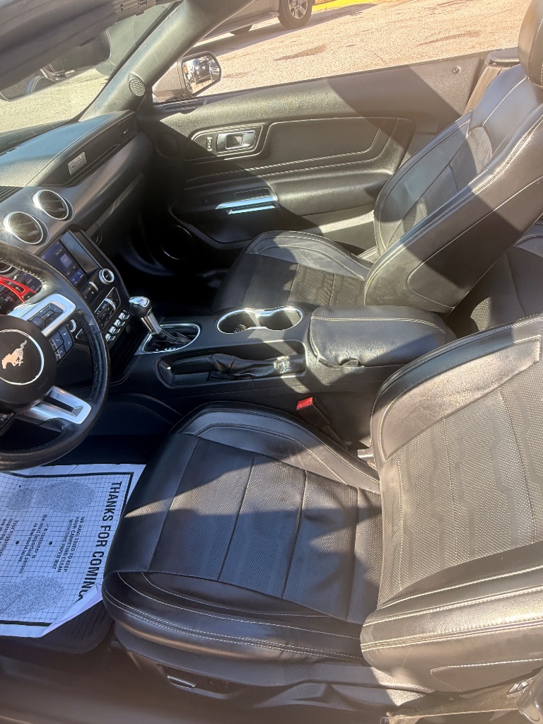 2019 Ford Mustang EcoBoost Premium - Photo 13