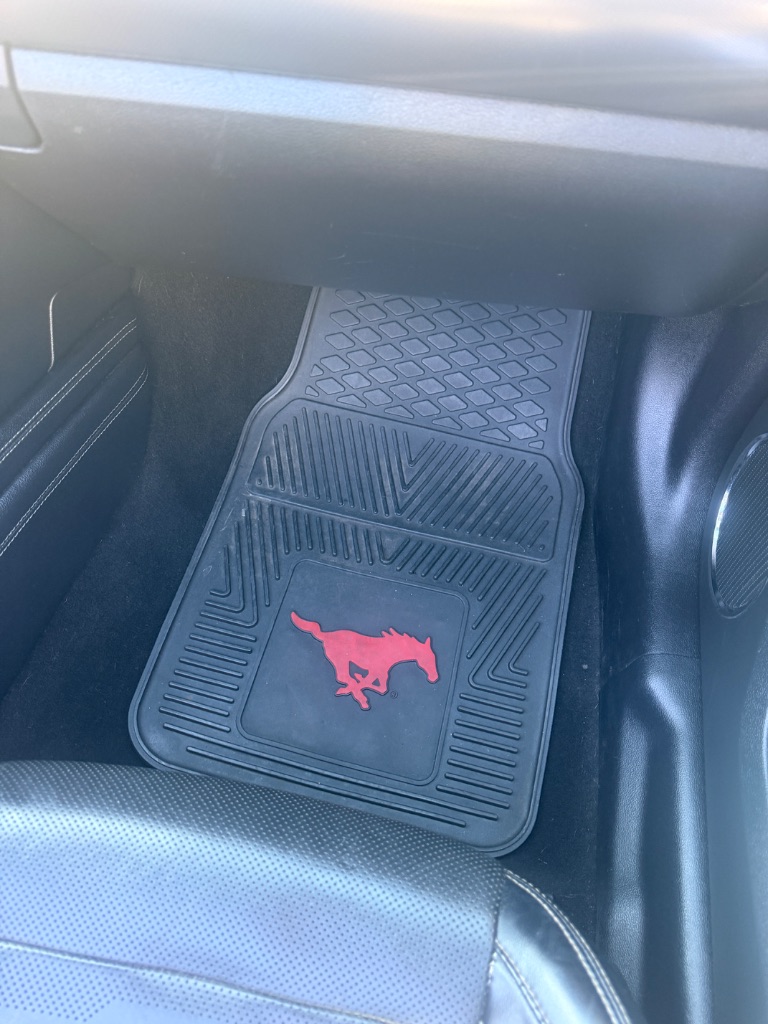 2019 Ford Mustang EcoBoost Premium - Photo 20