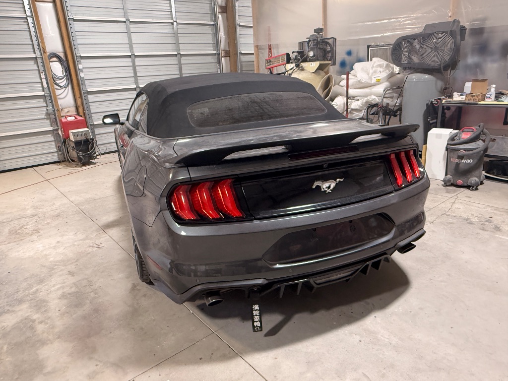 2019 Ford Mustang EcoBoost Premium - Photo 10