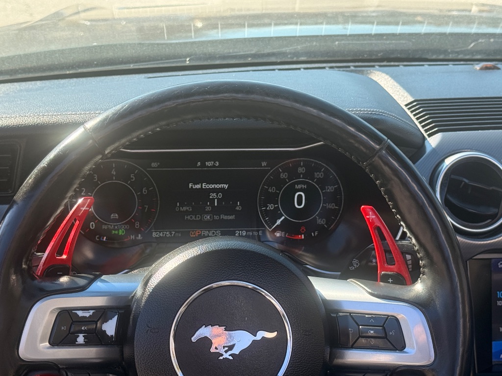 2019 Ford Mustang EcoBoost Premium - Photo 16