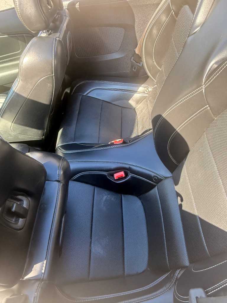 2019 Ford Mustang EcoBoost Premium - Photo 15