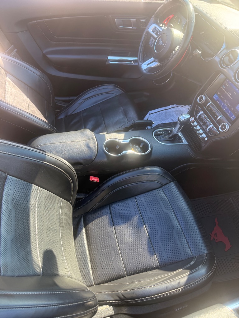 2019 Ford Mustang EcoBoost Premium - Photo 19
