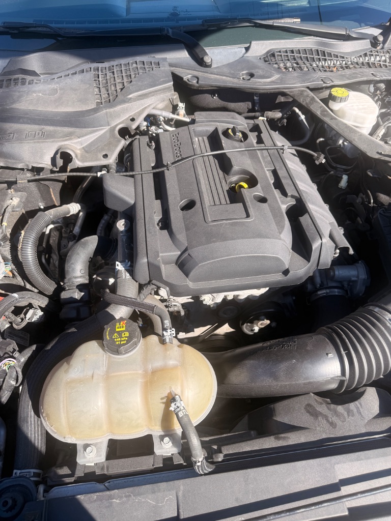2019 Ford Mustang EcoBoost Premium - Photo 18